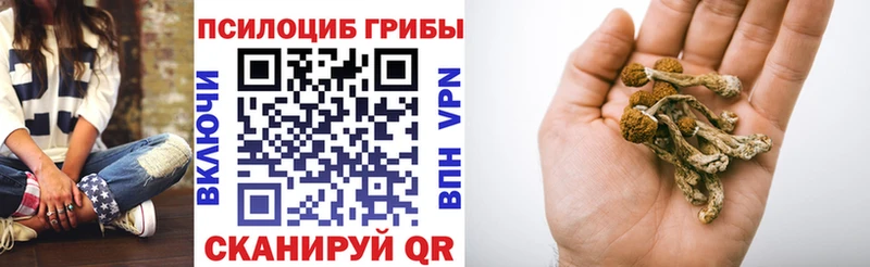 Псилоцибиновые грибы Cubensis  Купить  Заполярный 